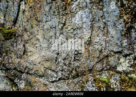 Rivière et mur de roche avec mousse dans le Buchberger Leite, forêt bavaroise, Basse-Bavière Banque D'Images