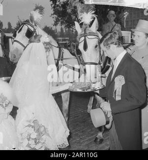 Journée mondiale des animaux 1964, une voiture avec de vrais nouveaux mariés a conduit dans la procession, la mariée et la groom donner la nourriture de cheval Date: 5 octobre 1964 mots clés: Couples de mariage Nom de l'institution: Journée mondiale des animaux Banque D'Images