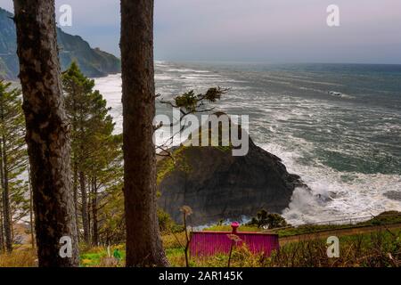 Vue depuis le phare de Heceta Head au sud le long de la côte de l'océan Pacifique de l'Oregon. Banque D'Images