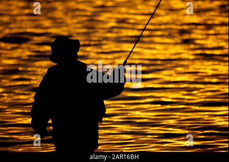 Pêche à la mouche coulage sur le réservoir Stoneyford au coucher du soleil, comté antrim Irlande du Nord pendant l'heure d'or en automne soir royaume-uni Banque D'Images