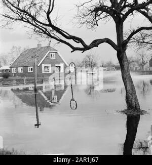 Waternuisance dans la vallée de Gelderse; voiture roulant sur une route inondée Date: 11 décembre 1965 lieu: Gueldre mots clés: Voitures, fermes, inondations, inondations : Kroon, Ron/Anefo, Banque D'Images