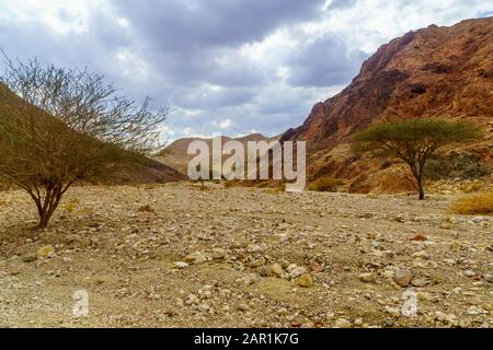 Vue sur la Nahal Shlomo (vallée du désert). Montagnes Eilat, Sud D'Israël Banque D'Images