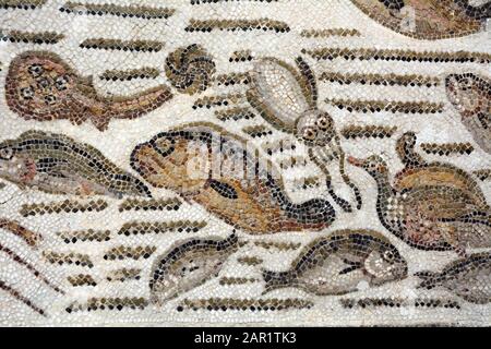 Une ancienne mosaïque romaine du 4ème siècle A.D. représentant des poissons et d'autres créatures marines au Musée national de Bardo à Tunis, en Tunisie. Banque D'Images