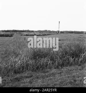 Normalisation des cours d'eau, excavation et amortissement des fossés, cousus d'égout, plongeurs et jardinage, terre terrestre, grues, consolidation des sols essche Flow Date : août 1962 mots clés : plongeurs et jardinage, excavation et amortissement des fossés, grues, cousus d'égout, normalisation des cours d'eau, consolidation des terres terrestres, nom De La Personne terrestre : échange de terrain essche Banque D'Images