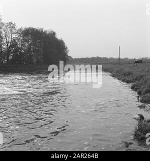 Normalisation des cours d'eau, fossés de creusement et d'amortissement, cousus de ponte, plongeurs et jardinage, aperçus, sorties, îles, arbres, bouleaux Date: Mai 1965 lieu: Eibergen mots clés: Arbres, plongeurs et jardinage, îles, fossés de creusage et d'amortissement, cousue d'égout, normalisation des cours d'eau, vues panoramiques, sortie Nom personnel: Travaux de bouleau Banque D'Images