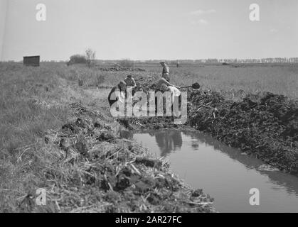 Normalisation des ruisseaux, fossés de creusement et d'amortissement, cousus de ponte, plongeurs et jardinage, travailleurs, travail, fossés, tranchées, petgat, kragge, Haskerveenpolder Datay : non dédrée lieu: Haskerveenpolder mots clés: Travailleurs, plongeurs et jardinage, tranchées, excavation et atténuation des fossés, cousus, normalisation des ruisseaux, fossés de petges, nom: Travaux de petge, travaux Banque D'Images