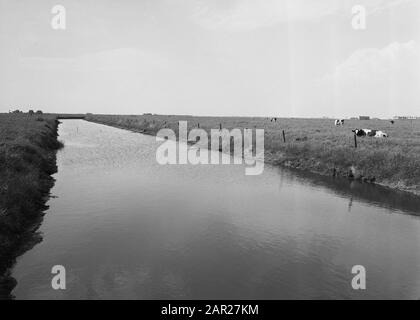 Normalisation des cours d'eau, excavation et amortissement des fossés, coupage, plongeurs et jardinage, tuyaux, installations sanitaires, Poortvlietse Weihoek Date : juin 1958 lieu : Poortvlietse Weihoek mots clés : plongeurs et jardinage, fossés d'excavation et d'amortissement, égouts de pose, tuyaux, normalisation des cours d'eau, entreprises d'assainissement Banque D'Images