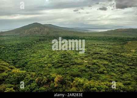 Vue panoramique sur le parc national de Mago, dans la vallée d'Omo, à Etiopia Banque D'Images