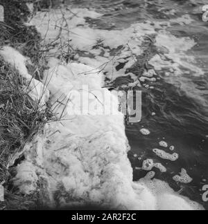 Eau, mousse, déchets Date : non daté mots clés : déchets, mousse, eau Banque D'Images