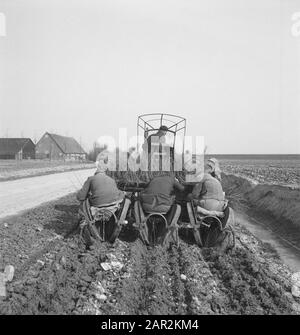 Travail du sol, machines agricoles, travail, travailleurs, plantation, tracteurs Date: Non daté mots clés: Travailleurs, travail du sol, machines agricoles, activités Nom personnel: Tracteurs Banque D'Images