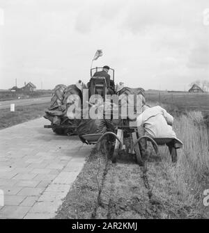 Travail du sol, machines agricoles, outils, travailleurs, route, routes, chemins de cycle, travail, tracteurs Date: Non daté mots clés: Travailleurs, route, pistes cyclables, travail du sol, machines agricoles, routes, outils, travail Nom personnel: Tracteurs Banque D'Images