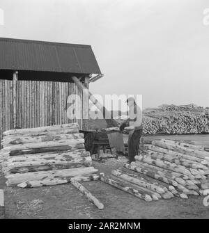 Magasins de bois, grumes, travailleurs, machines Date: Non daté mots clés: Travailleurs, grumes, entreposage du bois, machines Banque D'Images