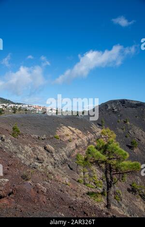 Paysage près de Fuencaliente dans la pointe sud de la Palma, île des Canaries, Espagne Banque D'Images