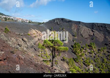 Paysage près de Fuencaliente dans la pointe sud de la Palma, île des Canaries, Espagne Banque D'Images