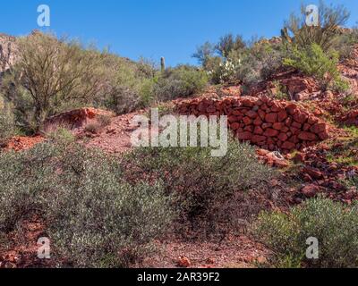 Les restes d'une fondation de mine abandonnée probablement construite vers 1956 par Ralph Morris, Indian Paint Mine, Superstition Wilderness, Arizona. Banque D'Images