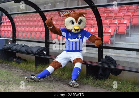 Salford, Royaume-Uni. 25 janvier 2020. Salford, ANGLETERRE - 25 JANVIER Caddy Le hibou avant le match de la Sky Bet League 2 entre Salford City et Oldham Athletic à Moor Lane, Salford le samedi 25 janvier 2020. (Crédit: Eddie Garvey | MI News ) la photographie ne peut être utilisée qu'à des fins de rédaction de journaux et/ou de magazines, licence requise à des fins commerciales crédit: Mi News & Sport /Alay Live News Banque D'Images