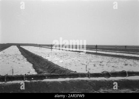 Pays, eau, hommes, drainage de l'eau, machines à sous Date: Non daté mots clés: Pays, hommes, machines à sous, eau, drainage de l'eau Banque D'Images