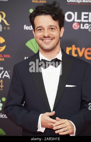 25 Janvier 2020, Madrid, Madrid, Espagne: Fernando Tielve Assiste Au 34ème Prix Goya Cinema 2020 - Tapis Rouge Au Stade Jose Maria Martin Carpena Le 26 Janvier 2020 À Madrid, Espagne (Image De Crédit: © Jack Abuin/Zuma Wire) Banque D'Images