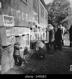 Marché des oiseaux à Noordermarkt à Amsterdam; marché des oiseaux à Noordermarkt Date : 28 octobre 1974 lieu : Amsterdam, Noord-Holland mots clés : marchés des oiseaux Banque D'Images