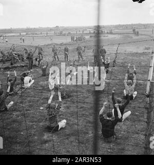 Capitulation: Harskamp [camp où SS et Landwachters ont été internés] Gymnastics Annotation: Environ 4000 prisonniers néerlandais SS (y compris armée, Landstorm, Viking, Germania, Holl. Grüne Polizei etc.) en attente de procès Date: Juin 1945 lieu: Gueldre, Harskamp mots clés: Gymnastique, camps d'internement, prisonniers de guerre, militaire Banque D'Images