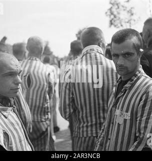 Reportage du camp de Vught Dans le camp criminel de Vught, 7000 collaborateurs et traîtres néerlandais sont enfermés. Les soldats des Néerlandais Stoottroopers sont en charge de la garde, en particulier des 300 Néerlandais SS. Sous la direction du commandant du camp, Le Major L. Mennes et ses aides, ces prisonniers sont utilisés pour purifier les environs de Vught des mines terrestres. Ils sont habillés dans les paquets de prison à rayures bleu-blanc de l'ancien néerlandais capturé par les Allemands. Les prisonniers reçoivent la ration civile minimale, qui a également été réduite, parce que toutes les friandises ont été supprimées Banque D'Images