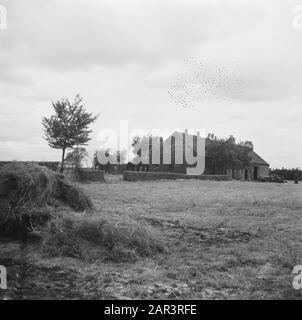 Série sur les familles Limburg Smedts et Poels de Horst qui a aidé à cacher environ 300 pilotes alliés (abattu au-dessus des Pays-Bas) dans la ferme de Zwarte Plak et à travers la frontière avec la Belgique a pu apporter. Seconde Guerre mondiale, fermes, illégalité, personnes en cachette Date: 1945 lieu: Limbourg mots clés: Fermes, illégalité, personnes en cachette, seconde Guerre mondiale Banque D'Images