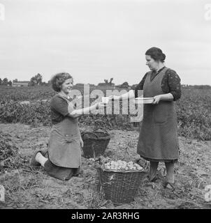 Série sur les familles Limburg Smedts et Poels de Horst qui a aidé à cacher environ 300 pilotes alliés (abattu au-dessus des Pays-Bas) dans la ferme de Zwarte Plak et à travers la frontière avec la Belgique a pu apporter. Seconde Guerre mondiale, illégalité Date : 1945 mots clés : illégalité, seconde Guerre mondiale Banque D'Images