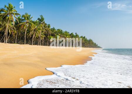 Longue plage tropicale vide avec des cococotiers à Kerala, Inde Banque D'Images
