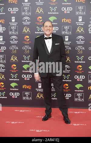 25 Janvier 2020, Malaga, Andalousie, Espagne: Karra Elejalde Assiste Au 34ème Goya Cinema Awards 2020 - Red Carpet Au Stade Jose Maria Martin Carpena Le 26 Janvier 2020 À Malaga, Espagne (Credit Image: © Jack Abuin/Zuma Wire) Banque D'Images