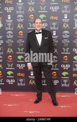 25 Janvier 2020, Malaga, Andalousie, Espagne: Karra Elejalde Assiste Au 34ème Goya Cinema Awards 2020 - Red Carpet Au Stade Jose Maria Martin Carpena Le 26 Janvier 2020 À Malaga, Espagne (Credit Image: © Jack Abuin/Zuma Wire) Banque D'Images
