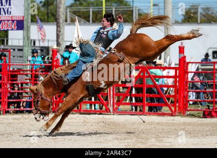 Homestead, Floride, États-Unis. 25 janvier 2020. Hunter Green participe à l'événement de Bareback Riding lors du 71ème rodéo du championnat Homestead au Doc DeMilly Rodeo Arena de Harris Field à Homestead, en Floride. Mario Houben/Csm/Alay Live News Banque D'Images