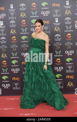 25 Janvier 2020, Malaga, Andalousie, Espagne: Nieves Alvarez Assiste Au 34ème Goya Cinema Awards 2020 - Red Carpet Au Stade Jose Maria Martin Carpena Le 26 Janvier 2020 À Malaga, Espagne (Credit Image: © Jack Abuin/Zuma Wire) Banque D'Images