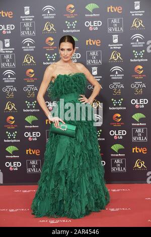 25 Janvier 2020, Malaga, Andalousie, Espagne: Nieves Alvarez Assiste Au 34ème Goya Cinema Awards 2020 - Red Carpet Au Stade Jose Maria Martin Carpena Le 26 Janvier 2020 À Malaga, Espagne (Credit Image: © Jack Abuin/Zuma Wire) Banque D'Images