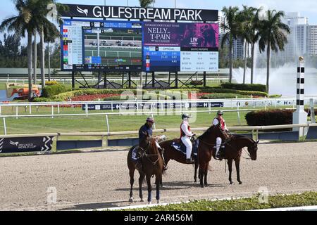 Hallandale BEACH, FL - 25 JANVIER : les clients assistent à la série sur invitation du championnat du monde de la coupe Pegasus 2020 au parc Gulfstream le 25 janvier 2020 à Hallandale, en Floride. Personnes: Invités Banque D'Images