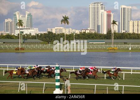 Hallandale BEACH, FL - 25 JANVIER : les clients assistent à la série sur invitation du championnat du monde de la coupe Pegasus 2020 au parc Gulfstream le 25 janvier 2020 à Hallandale, en Floride. Personnes: Invités Banque D'Images