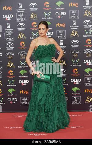 25 Janvier 2020, Malaga, Andalousie, Espagne: Nieves Alvarez Assiste Au 34ème Goya Cinema Awards 2020 - Red Carpet Au Stade Jose Maria Martin Carpena Le 26 Janvier 2020 À Malaga, Espagne (Credit Image: © Jack Abuin/Zuma Wire) Banque D'Images