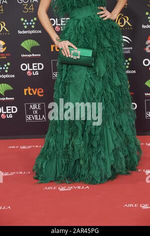 25 Janvier 2020, Malaga, Andalousie, Espagne: Nieves Alvarez Assiste Au 34ème Goya Cinema Awards 2020 - Red Carpet Au Stade Jose Maria Martin Carpena Le 26 Janvier 2020 À Malaga, Espagne (Credit Image: © Jack Abuin/Zuma Wire) Banque D'Images