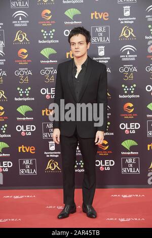 25 Janvier 2020, Malaga, Andalousie, Espagne: Jamie Cullum Assiste Au 34ème Prix Goya Cinema 2020 - Tapis Rouge Au Stade Jose Maria Martin Carpena Le 26 Janvier 2020 À Malaga, Espagne (Image De Crédit: © Jack Abuin/Zuma Wire) Banque D'Images