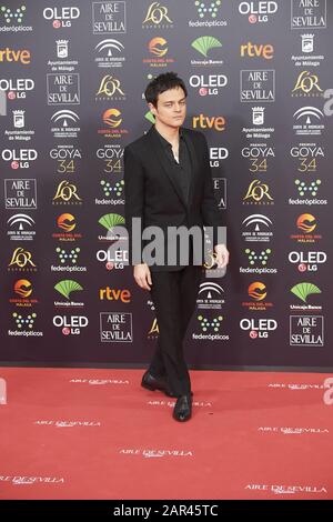 25 Janvier 2020, Malaga, Andalousie, Espagne: Jamie Cullum Assiste Au 34ème Prix Goya Cinema 2020 - Tapis Rouge Au Stade Jose Maria Martin Carpena Le 26 Janvier 2020 À Malaga, Espagne (Image De Crédit: © Jack Abuin/Zuma Wire) Banque D'Images