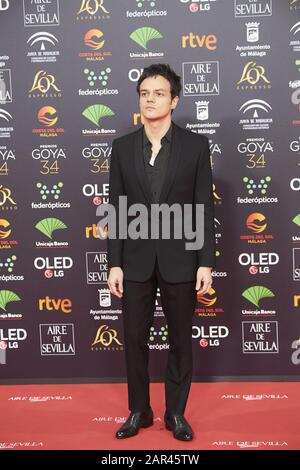 25 Janvier 2020, Malaga, Andalousie, Espagne: Jamie Cullum Assiste Au 34ème Prix Goya Cinema 2020 - Tapis Rouge Au Stade Jose Maria Martin Carpena Le 26 Janvier 2020 À Malaga, Espagne (Image De Crédit: © Jack Abuin/Zuma Wire) Banque D'Images