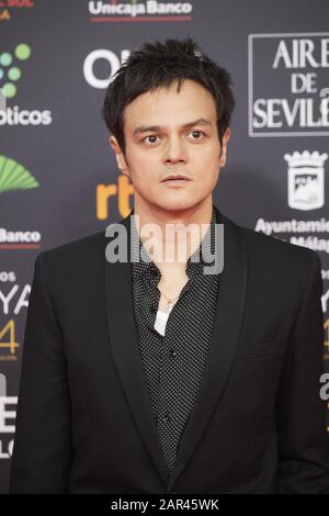 25 Janvier 2020, Malaga, Andalousie, Espagne: Jamie Cullum Assiste Au 34ème Prix Goya Cinema 2020 - Tapis Rouge Au Stade Jose Maria Martin Carpena Le 26 Janvier 2020 À Malaga, Espagne (Image De Crédit: © Jack Abuin/Zuma Wire) Banque D'Images