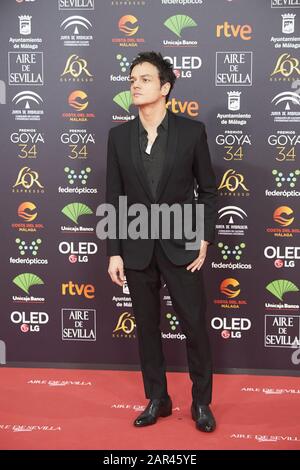 25 Janvier 2020, Malaga, Andalousie, Espagne: Jamie Cullum Assiste Au 34ème Prix Goya Cinema 2020 - Tapis Rouge Au Stade Jose Maria Martin Carpena Le 26 Janvier 2020 À Malaga, Espagne (Image De Crédit: © Jack Abuin/Zuma Wire) Banque D'Images