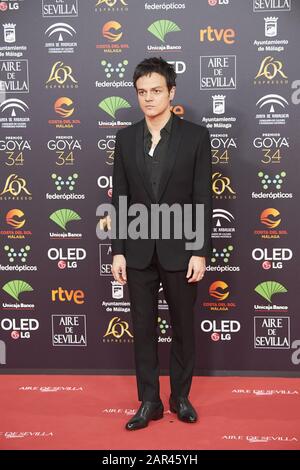 25 Janvier 2020, Malaga, Andalousie, Espagne: Jamie Cullum Assiste Au 34ème Prix Goya Cinema 2020 - Tapis Rouge Au Stade Jose Maria Martin Carpena Le 26 Janvier 2020 À Malaga, Espagne (Image De Crédit: © Jack Abuin/Zuma Wire) Banque D'Images