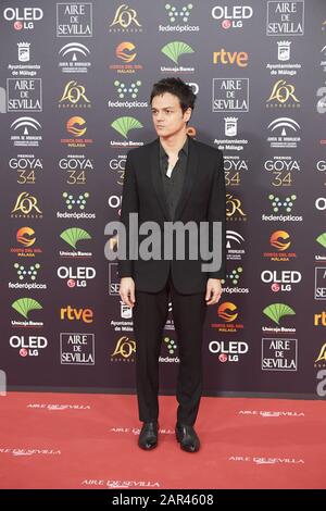 25 Janvier 2020, Malaga, Andalousie, Espagne: Jamie Cullum Assiste Au 34ème Prix Goya Cinema 2020 - Tapis Rouge Au Stade Jose Maria Martin Carpena Le 26 Janvier 2020 À Malaga, Espagne (Image De Crédit: © Jack Abuin/Zuma Wire) Banque D'Images