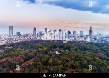Sanctuaire de Shinto dans le parc verdoyant de la ville de Tokyo près du quartier du centre-ville de Shinjuku avec des tours de gratte-ciel et une architecture urbaine moderne au lever du soleil. Banque D'Images