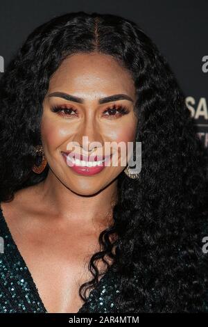 Paulini assiste au G'ay USA 2020 tenu à l'hôtel Beverly Wilshire Four Seasons le 25 janvier 2020 à Beverly Hills, Californie, États-Unis. (Photo de Art Garcia/Sipa USA) Banque D'Images