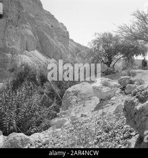 Israël 1964-1965: Ein Gedi Ein Gidi. Paysage rocheux avec ici et là végétation Date: 1964 lieu: Mer morte, Ein Gedi, Israël mots clés: Roches Banque D'Images