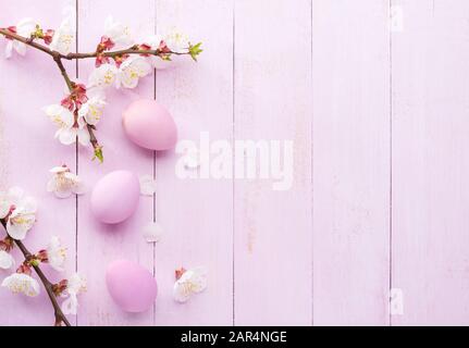 Œufs de Pâques et branches de fleurs Apricot sur une vieille table en bois rose. Pose plate. Banque D'Images