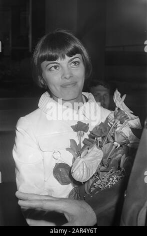 La chanteuse française Mireille Mathieu est accueillie avec des fleurs à Schiphol Date: 30 juin 1970 lieu: Amsterdam, Noord-Holland, Schiphol mots clés: Arrivée et départ, chansonnière, chansons, portraits, chanteurs Nom personnel: Mathieu, Mireille Banque D'Images