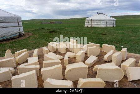 gurt mongole à partir du séchage du lait acide Banque D'Images